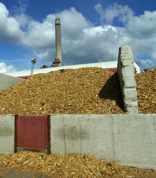 Klimaet og naturen har brug for din hjælp