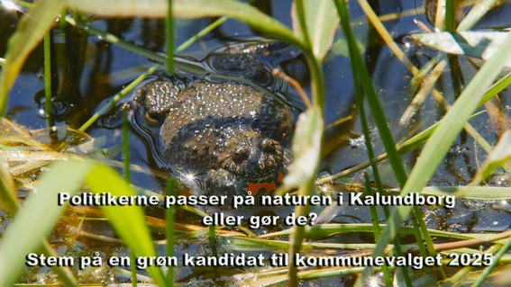 Todo