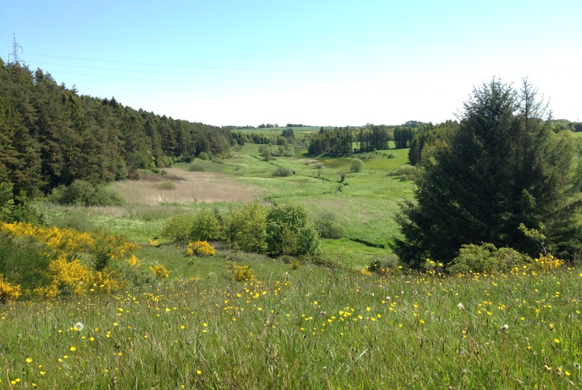 Historisk naturlov en realitet