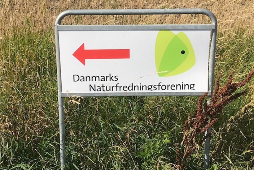DN - noget for dig?