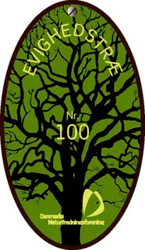 Todo
