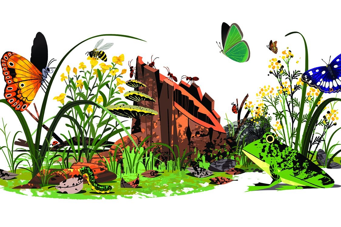 Tema: Giv den vilde natur lov