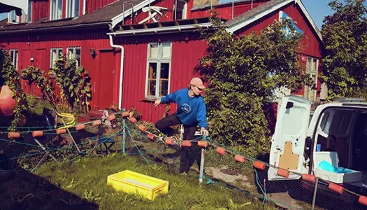 Tema: En bid af havet