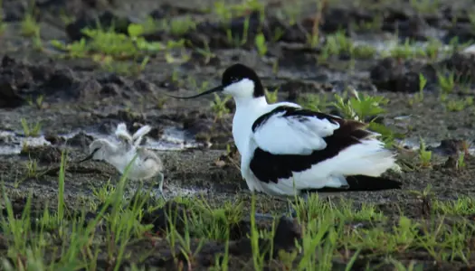 Fra dyrket land til den vildeste natur 