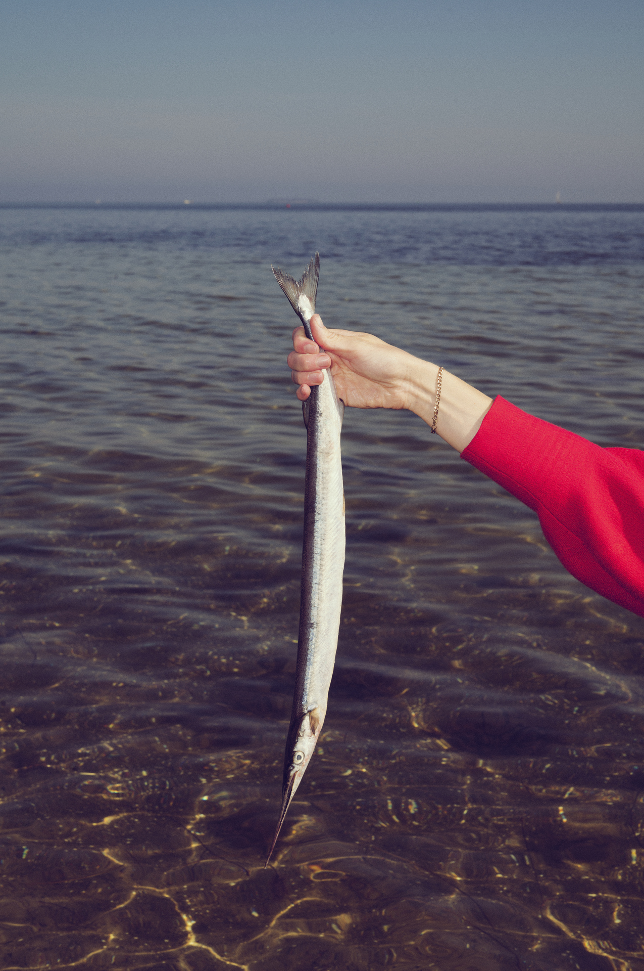 For lidt skånsomt fanget fisk