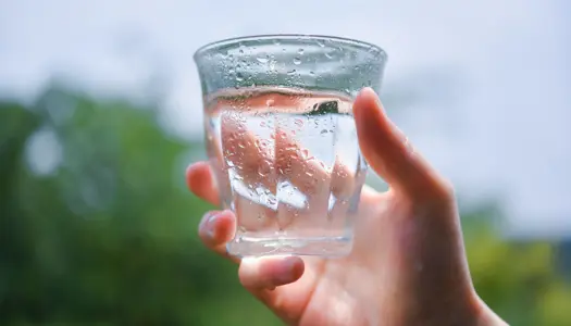 Vandsommelier: Dansk postevand er top 5 i verden