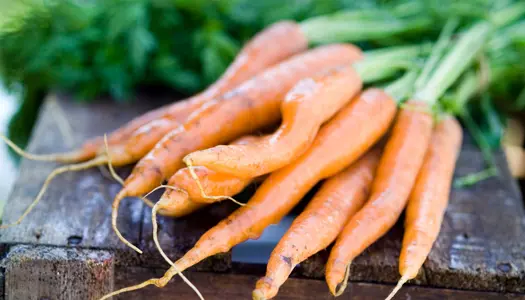 Hvad kan du selv gøre?