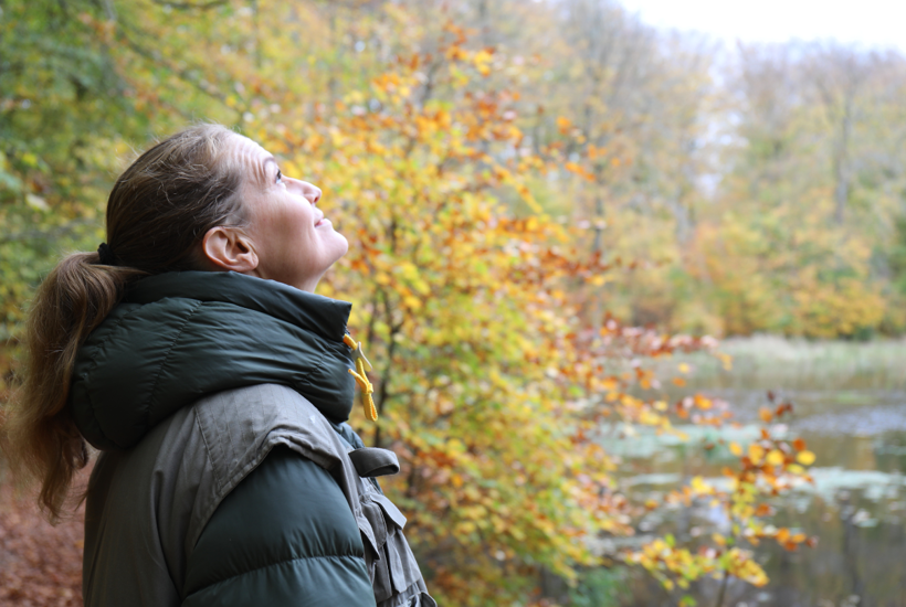 DN-præsident: Allerede om få år kan landskabet se anderledes ud