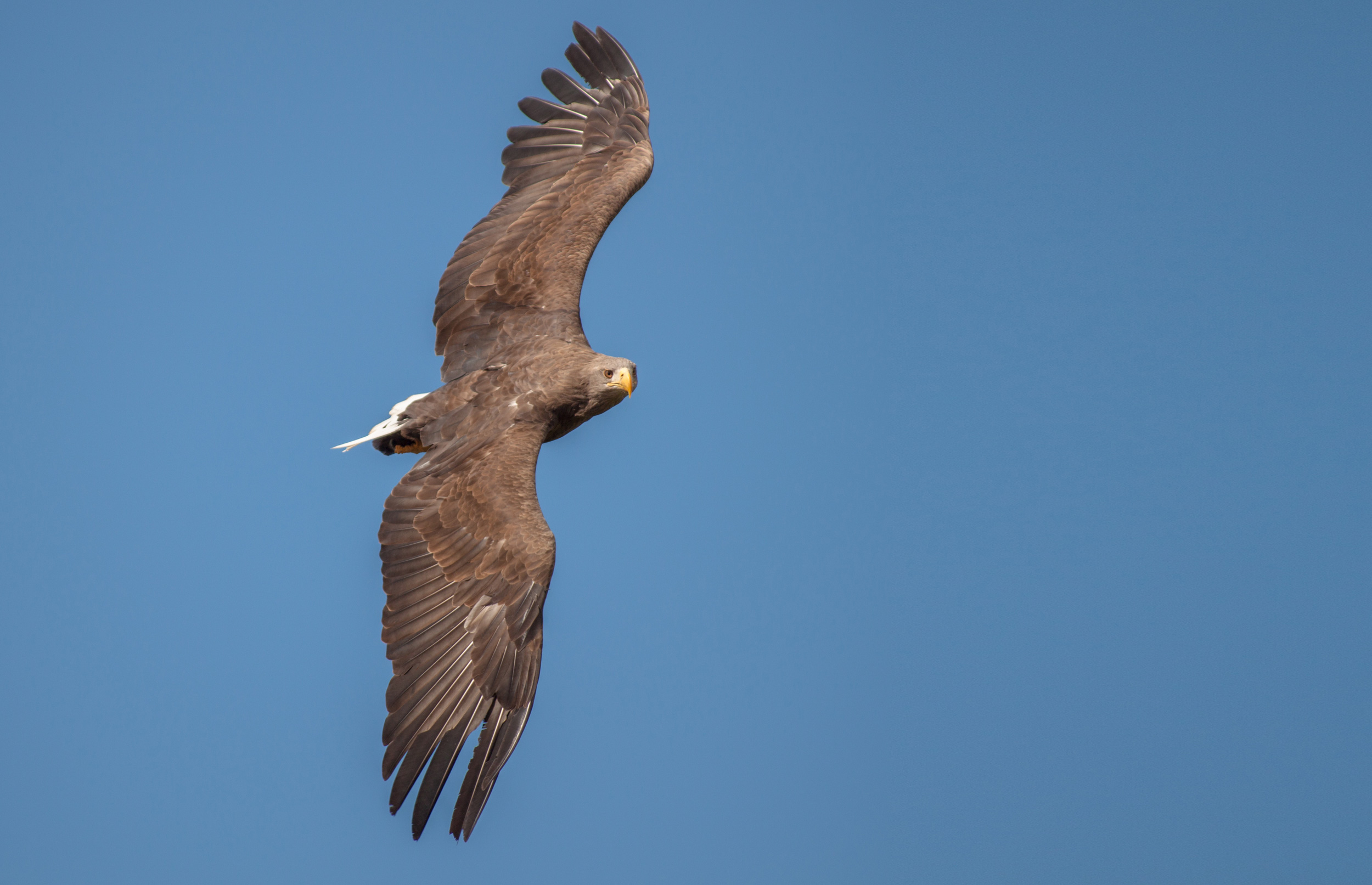 Få et tilskud til advokatregningen