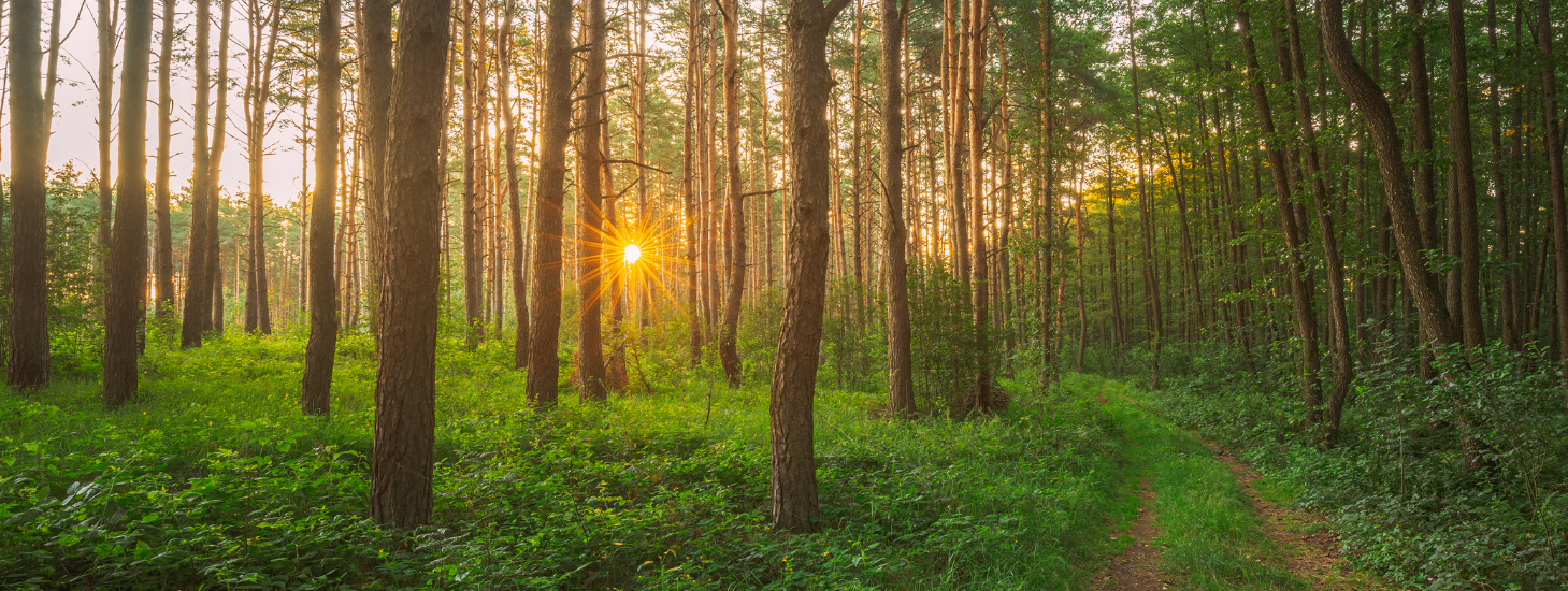 Det får I, hvis I bliver Naturdonor